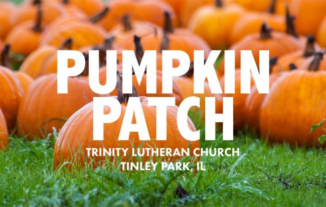 Pumpkin Patch